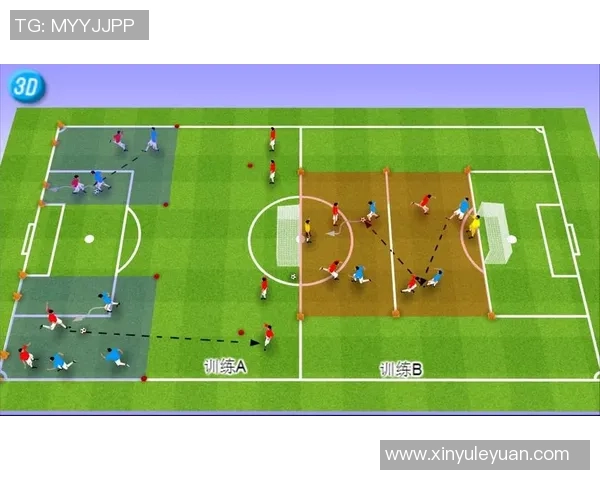 足球队翻译的艺术与技巧探索如何准确传达球队文化与战术理念